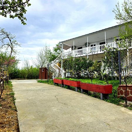 Hilltop Guest House Кутаиси Екстериор снимка