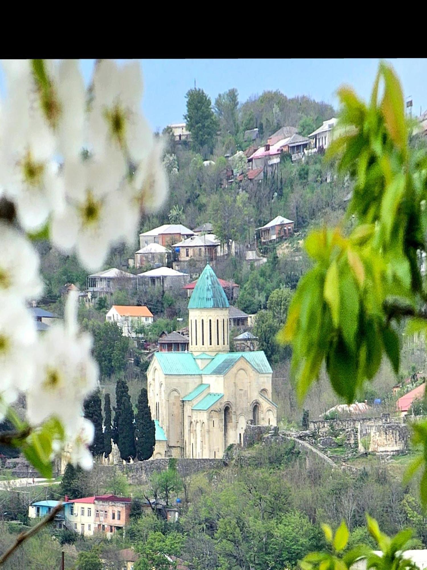 Hilltop Guest House Кутаиси Екстериор снимка