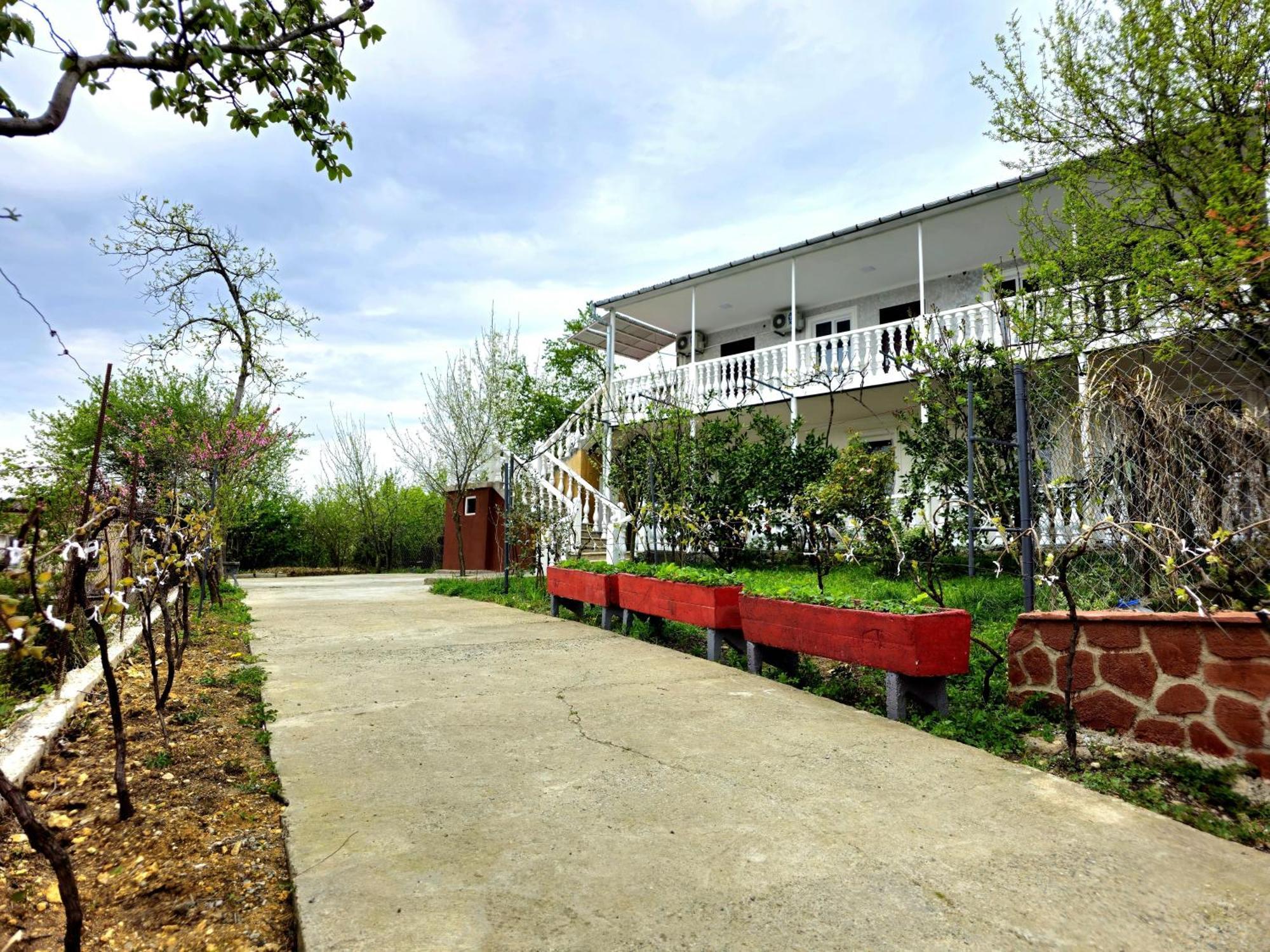 Hilltop Guest House Кутаиси Екстериор снимка